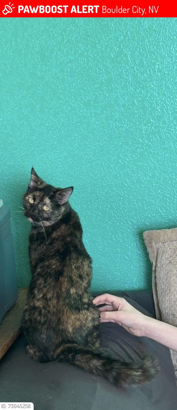 Lost Female Cat last seen Near utah street, Boulder City, NV 89005