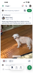 Lost Female Dog last seen Shakespeare and Lamon Ave, Chicago, IL 60639