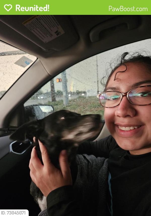 Reunited Male Dog last seen Strong Park, Lubbock tx, Lubbock, TX 79423