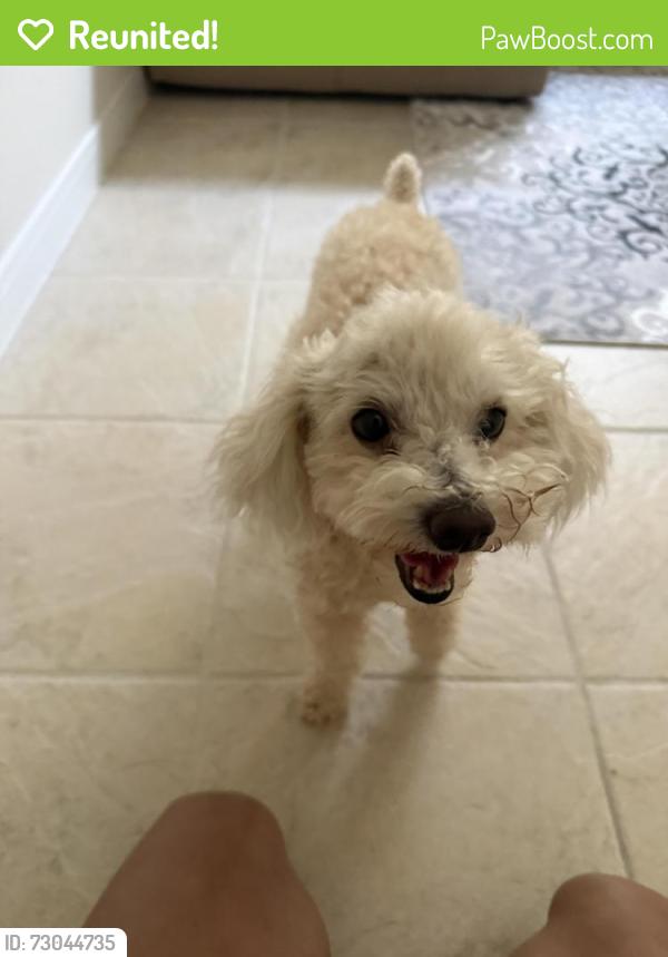 Reunited Male Dog last seen Louetta lakes dr entrance , Harris County, TX 77388