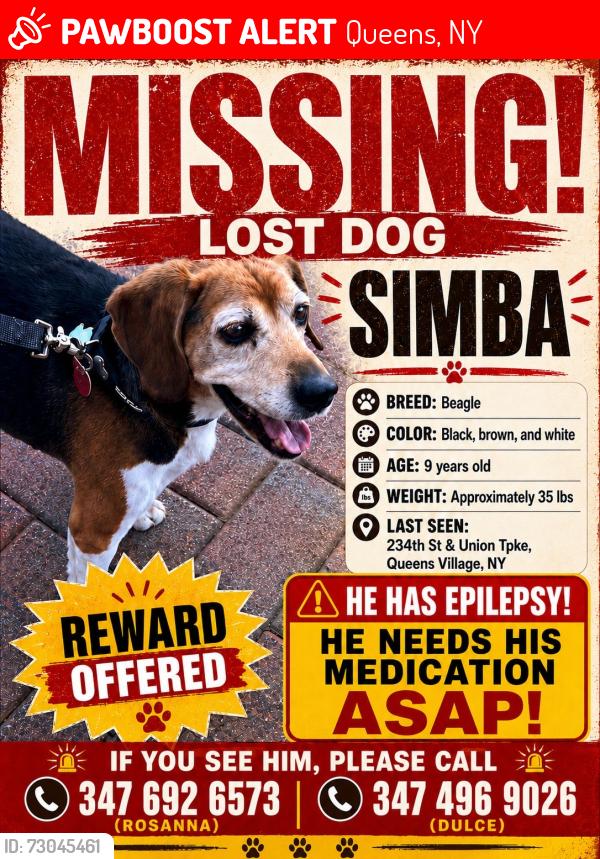 Lost Male Dog last seen 234th Street and Union Turnpike , Queens, NY 11427