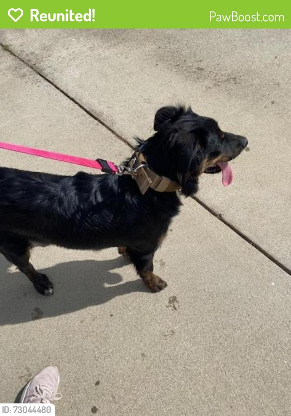 Reunited Unknown Dog last seen Mountain Meadow and Oak Ridge, Escondido, CA 92026