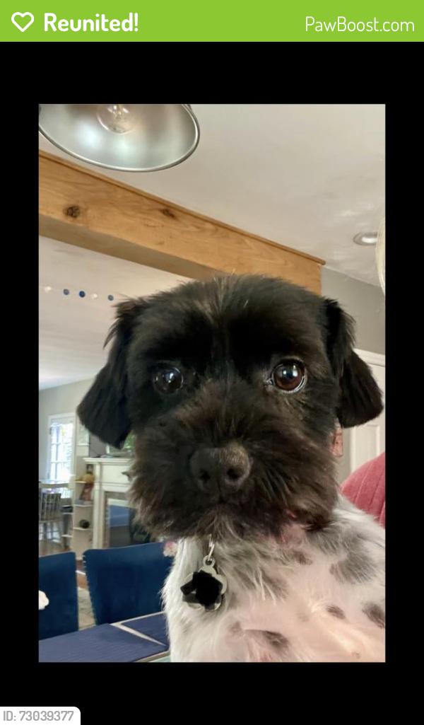 Reunited Female Dog last seen Berrien RESA building, Berrien Springs, MI 49103