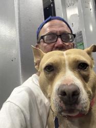 Reunited Female Dog last seen Near Peachtree Rd NE, Atlanta, GA 30309, USA, Atlanta, GA 30309