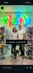 Reunited Male Dog last seen Round Top, Los Angeles, CA 90065