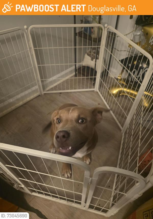 Found/Stray Male Dog last seen Riley road, Douglasville, GA 30122