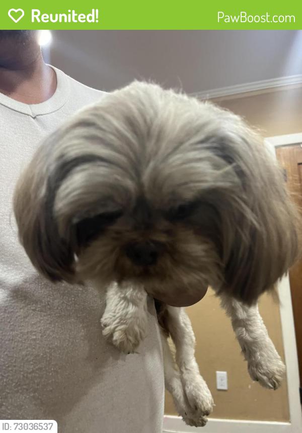 Reunited Male Dog last seen Bike trails , Santa Ana, CA 92701