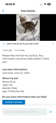 Lost Unknown Cat last seen See screenshot , San Clemente, CA 92672