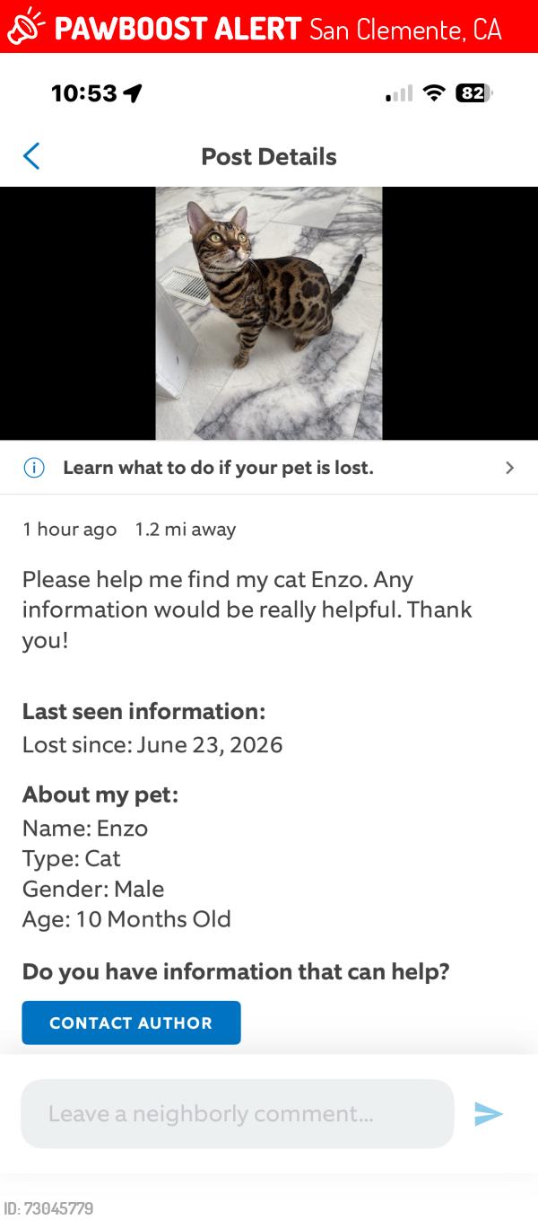 Lost Unknown Cat last seen See screenshot , San Clemente, CA 92672