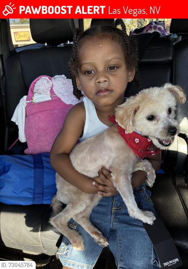 Lost Male Dog last seen Gated apmts., Las Vegas, NV 89119