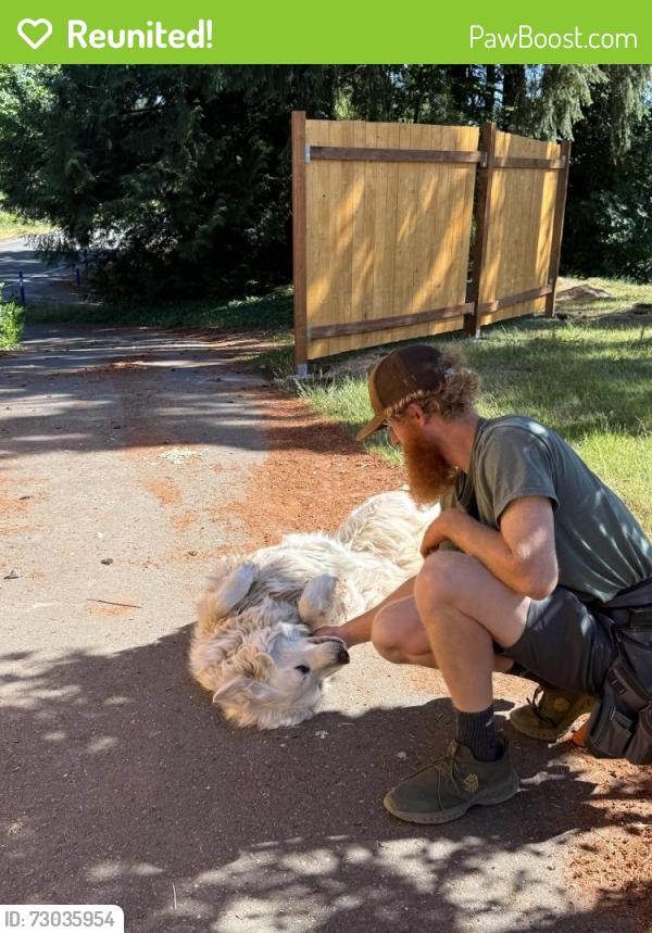 Reunited Male Dog last seen Brownsville HWY NE , Kitsap County, WA 98345