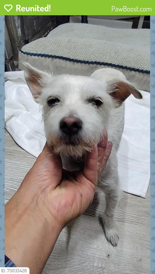 Reunited Female Dog last seen Kaiser  ave, Fontana, CA , Fontana, CA 92335