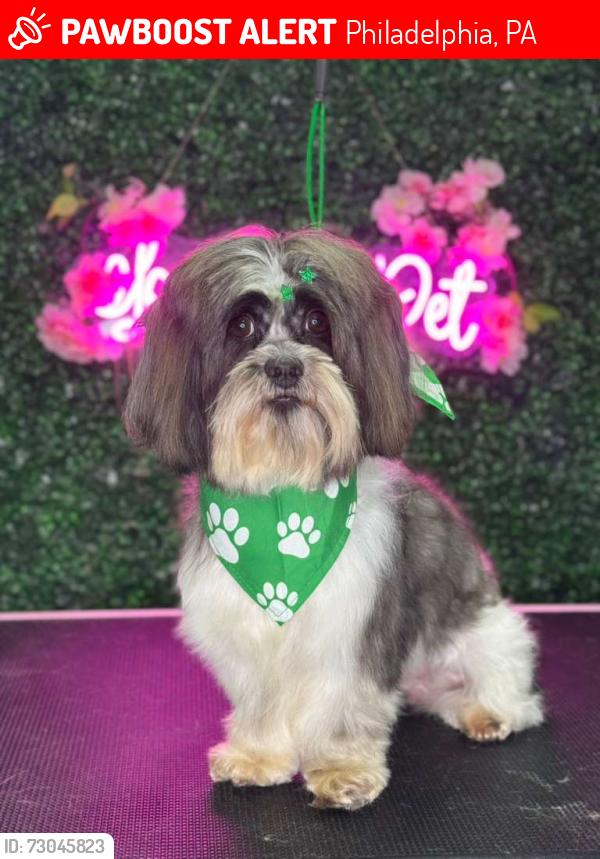 Lost Male Dog last seen Hale street philly, Philadelphia, PA 19149