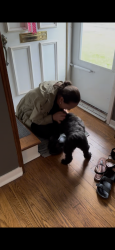 Reunited Male Dog last seen Elmhurst Street , West Hartford, CT 06110