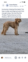 Found/Stray Unknown Dog last seen Hickory Hill community Trail, Memphis, TN 38103