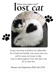 Reunited Male Cat last seen Marine dr and Glen Kerr, Innisfil, ON 
