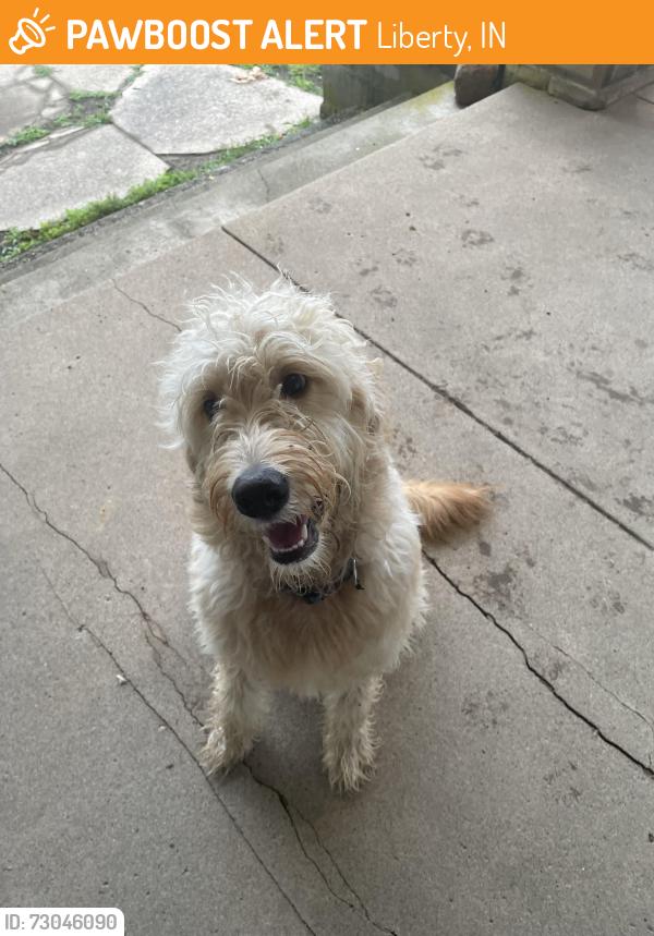 Found/Stray Unknown Dog last seen Mcdill, Liberty, IN 47353