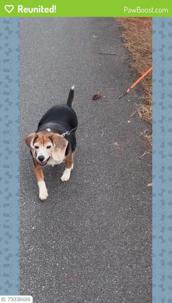 Reunited Male Dog last seen Bar H and Barnett Shoals Rd, Athens, GA 30605
