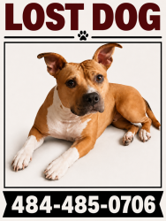 Lost Female Dog last seen Garnet Mine Rd and Kirk Rd, Garnet Valley, PA 19060