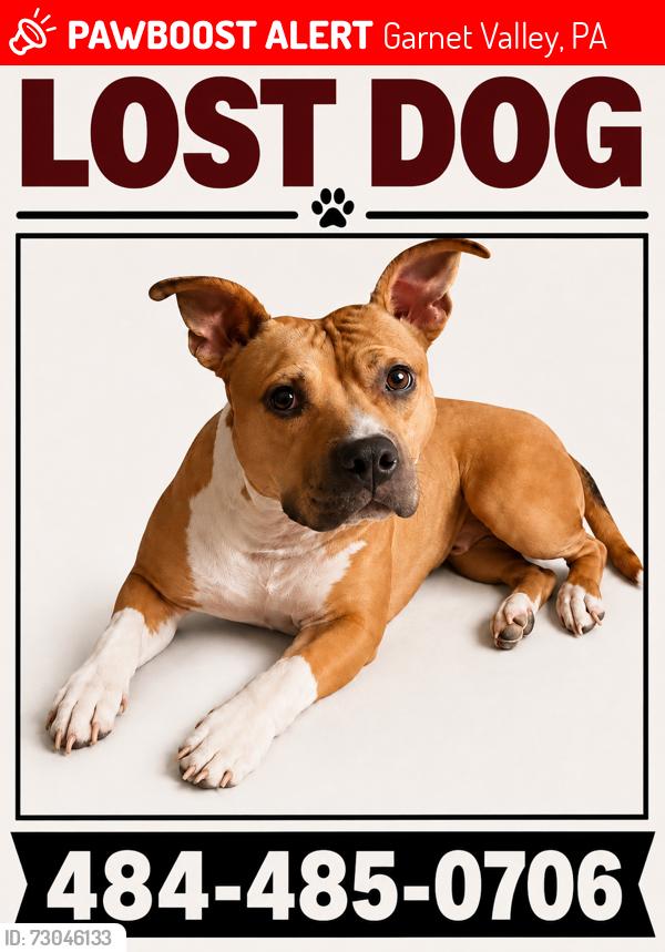 Lost Female Dog last seen Garnet Mine Rd and Kirk Rd, Garnet Valley, PA 19060