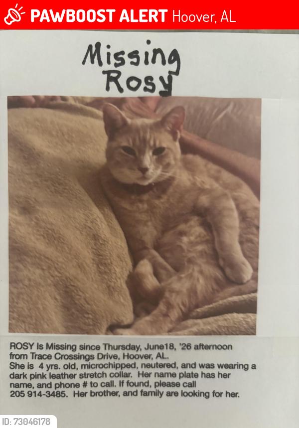 Lost Female Cat last seen Trace Crossings Dr. and Trace Crossings Trail, Hoover, AL 35244