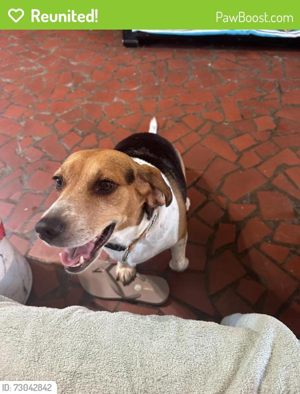 Reunited Male Dog last seen South Point High School, Belmont, NC 28012