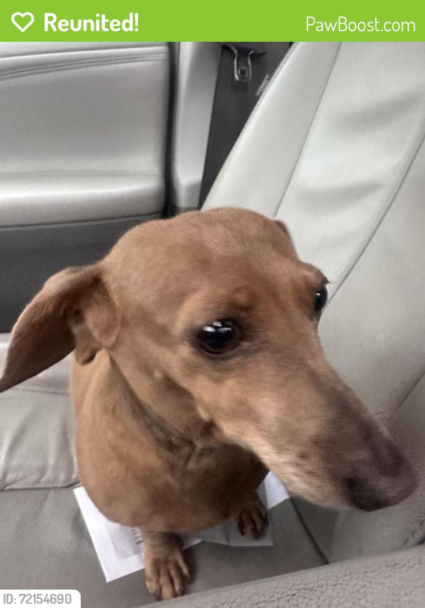 Reunited Unknown Dog last seen Bonneville Ln, Washington 98382, USA, Clallam County, WA 98382