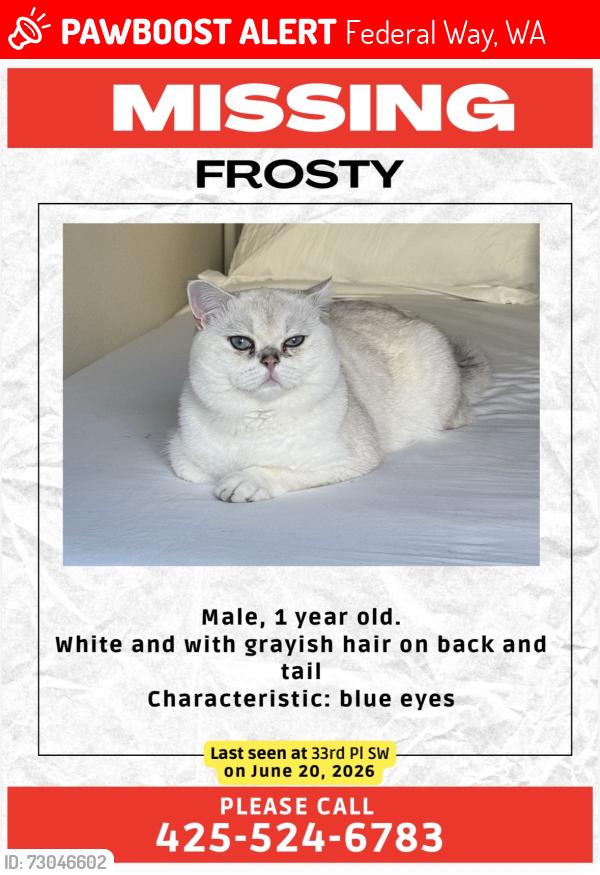Lost Male Cat last seen 33rd st , Federal Way, WA 98023
