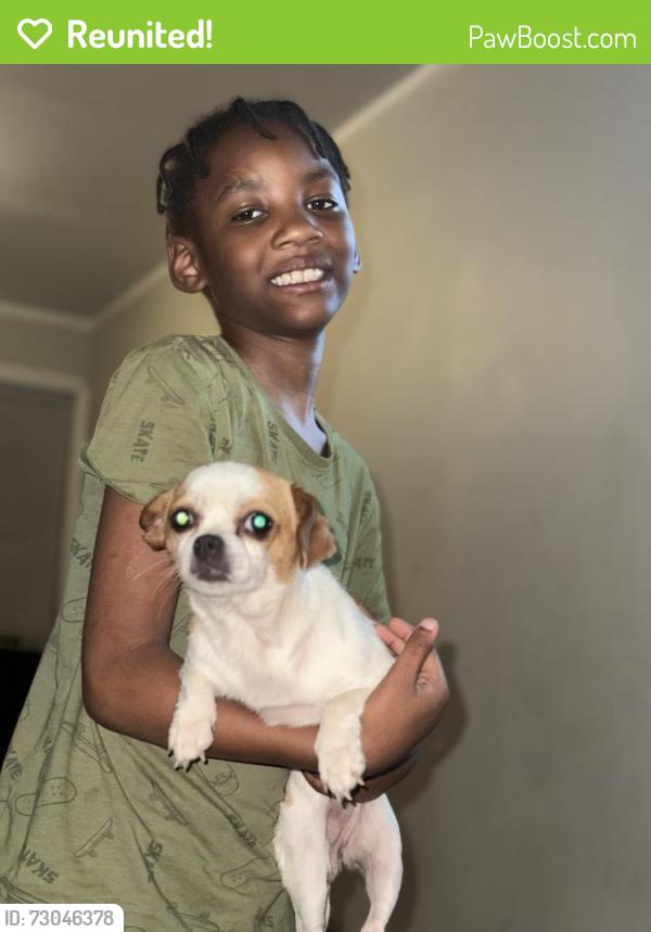 Reunited Female Dog last seen 29th Cecil b Moore st, Philadelphia, PA 19121