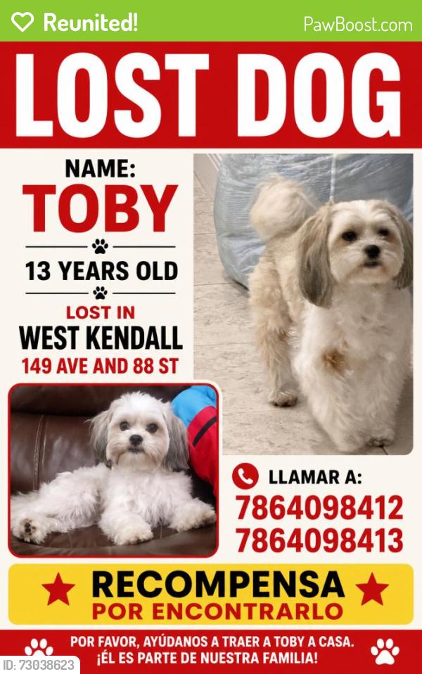 Reunited Male Dog last seen Near Kendale Lakes Blvd, Miami, FL 33193, USA, Miami, FL 33193