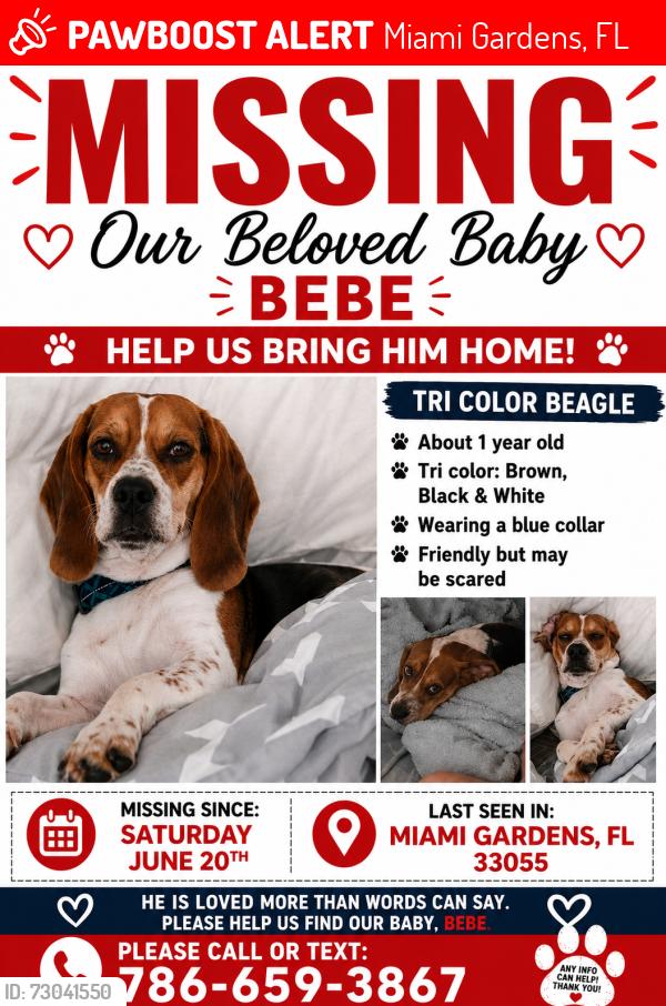 Lost Male Dog last seen 185th Street, Miami Gardens, FL 33055