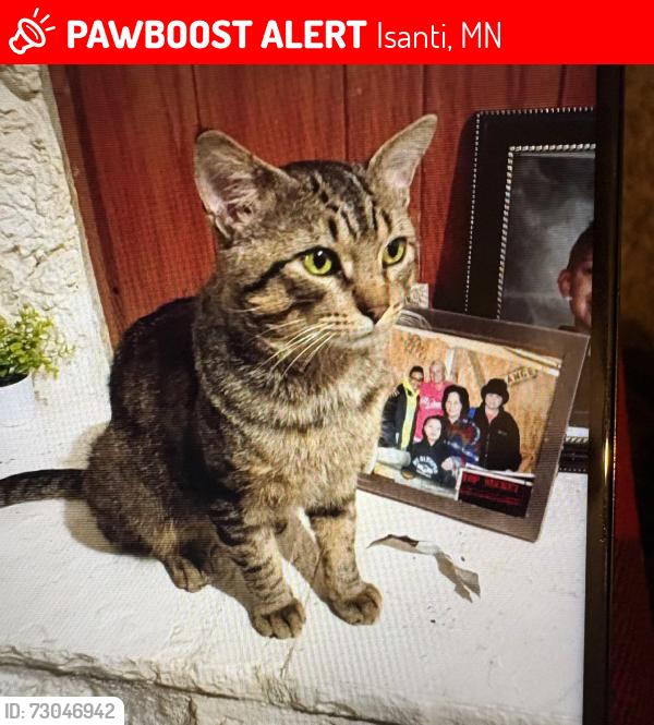 Lost Male Cat last seen Richard/Main st ( hurricane carwash), Isanti, MN 55040