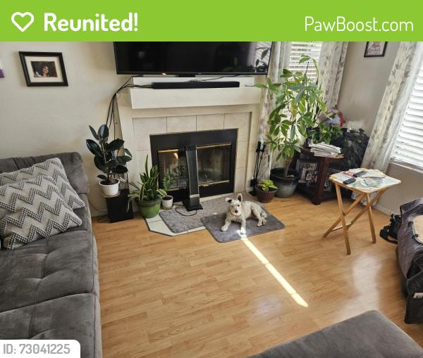 Reunited Male Dog last seen Hillcrest and Paseo Drive , Hollister, CA 95023