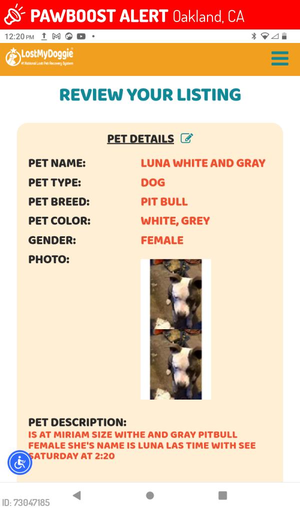 Lost Female Dog last seen International bulv and 99 st   oakland California , Oakland, CA 94603