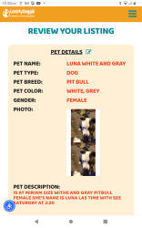 Lost Female Dog last seen International bulv and 99 st   oakland California , Oakland, CA 94603