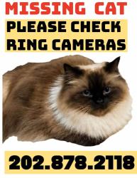 Lost Female Cat last seen Brooke Farm Court, Woodbridge, VA 22191