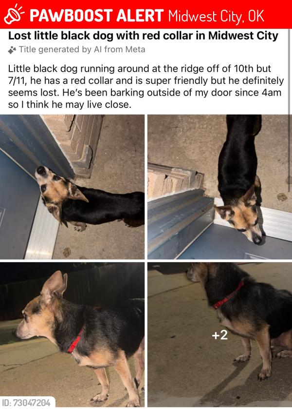 Lost Male Dog last seen N Air depot Blvd, Midwest City, OK 73110