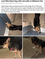 Lost Male Dog last seen N Air depot Blvd, Midwest City, OK 73110