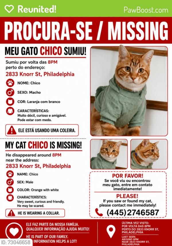 Reunited Male Cat last seen Near Knorr St , Philadelphia, PA 19149