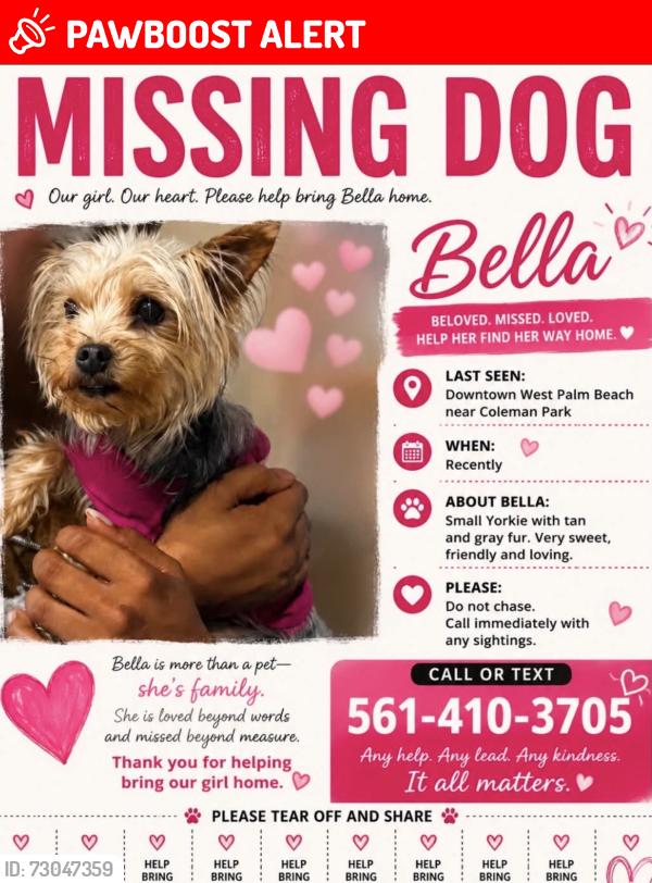 Lost Female Dog last seen Tamara Avenue, West Palm Beach, FL 33401