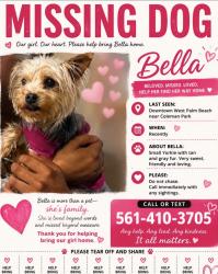 Lost Female Dog last seen Tamara Avenue, West Palm Beach, FL 33401