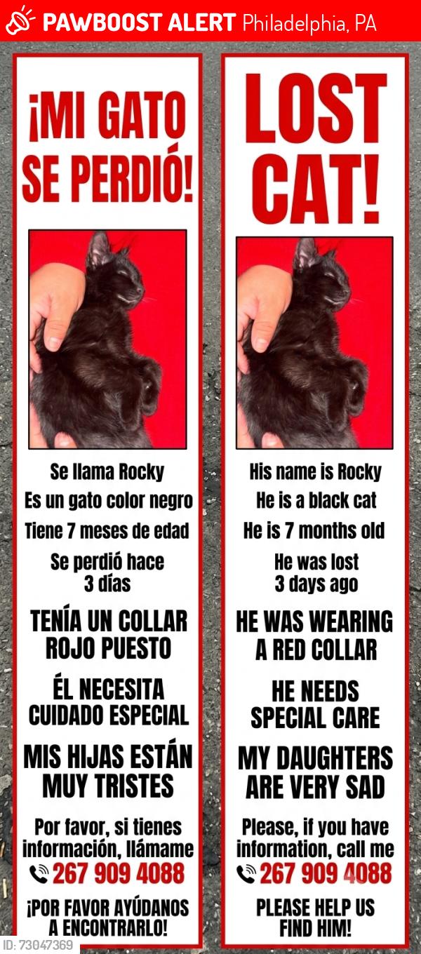 Lost Male Cat last seen Near Longshore av 19149 , Philadelphia, PA 19149