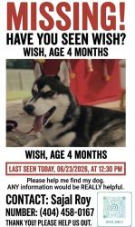 Lost Male Dog last seen Near Avonridge dr, Stone Mountain, GA 30083