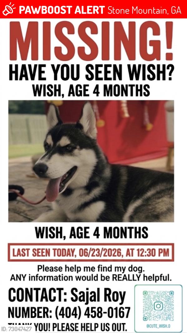 Lost Male Dog last seen Near Avonridge dr, Stone Mountain, GA 30083