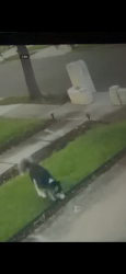 Lost Unknown Dog last seen Sharyland Plantation area, Mission, TX 78572