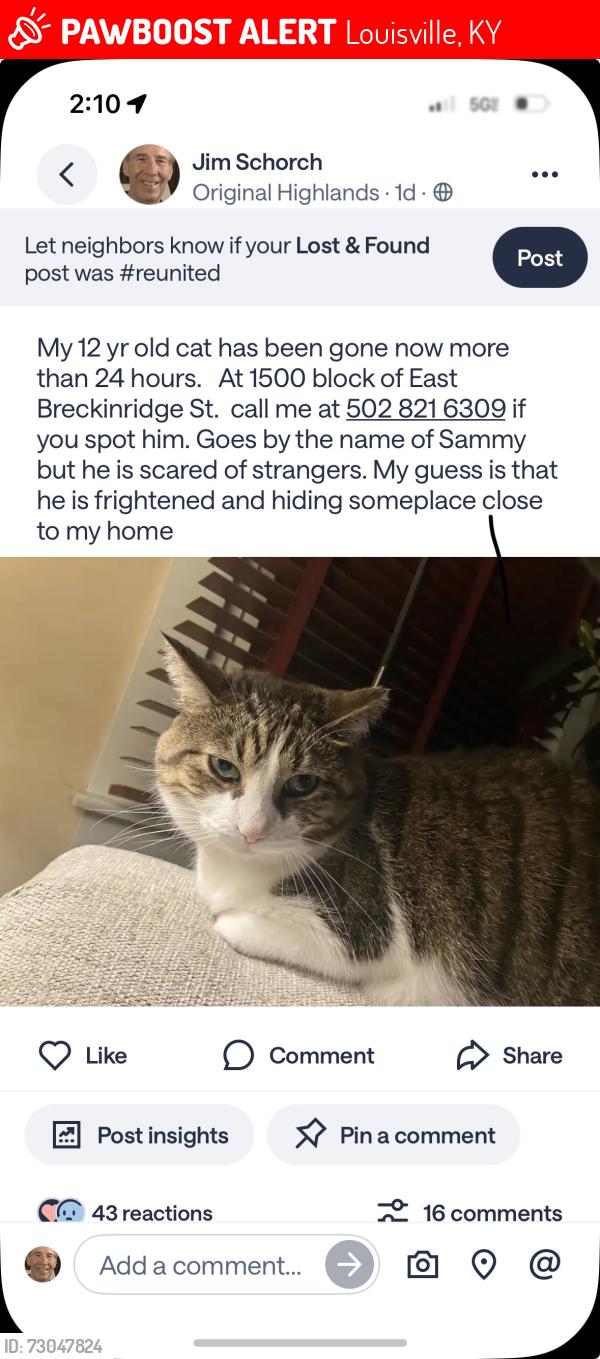 Lost Male Cat last seen Rubel ave, Louisville, KY 40204