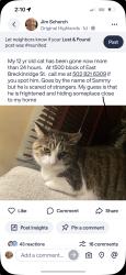 Lost Male Cat last seen Rubel ave, Louisville, KY 40204