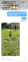 Lost Male Dog last seen Crosswater Drive, Nocatee, FL 32081