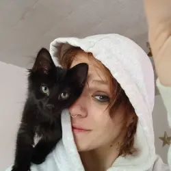 Lost Male Cat last seen Near S. 2nd.. Clearfield, Clearfield, PA 16830