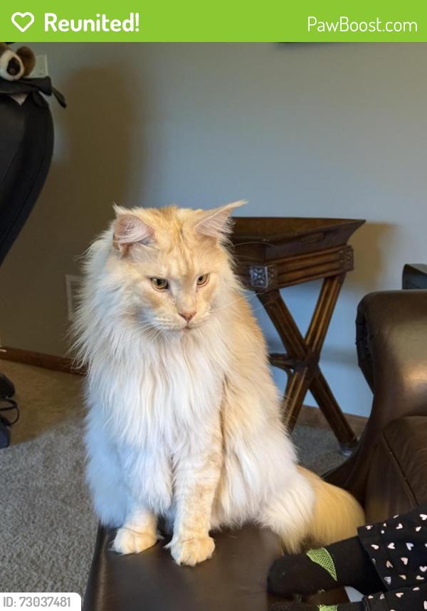 Reunited Male Cat last seen E. Campbell Road/Geryville Pike, Marlborough Township, PA 18073